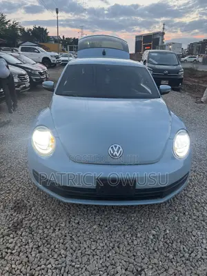Volkswagen Beetle 2014 Blue