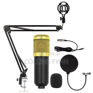Podcast and Studio Mic