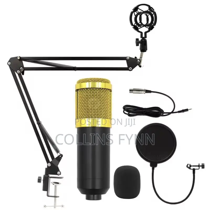 Podcast and Studio Mic