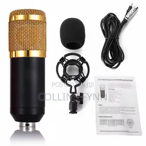 Podcast and Studio Mic