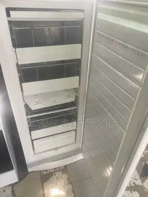 A Very Nice Home Use Tall Standing Refrigerator for Sale