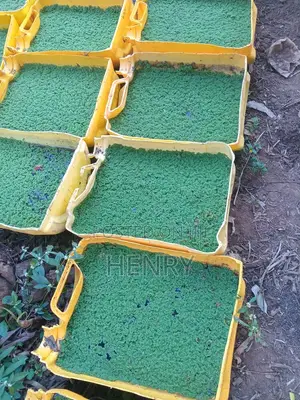 Azolla and Duckweed Setup(training)