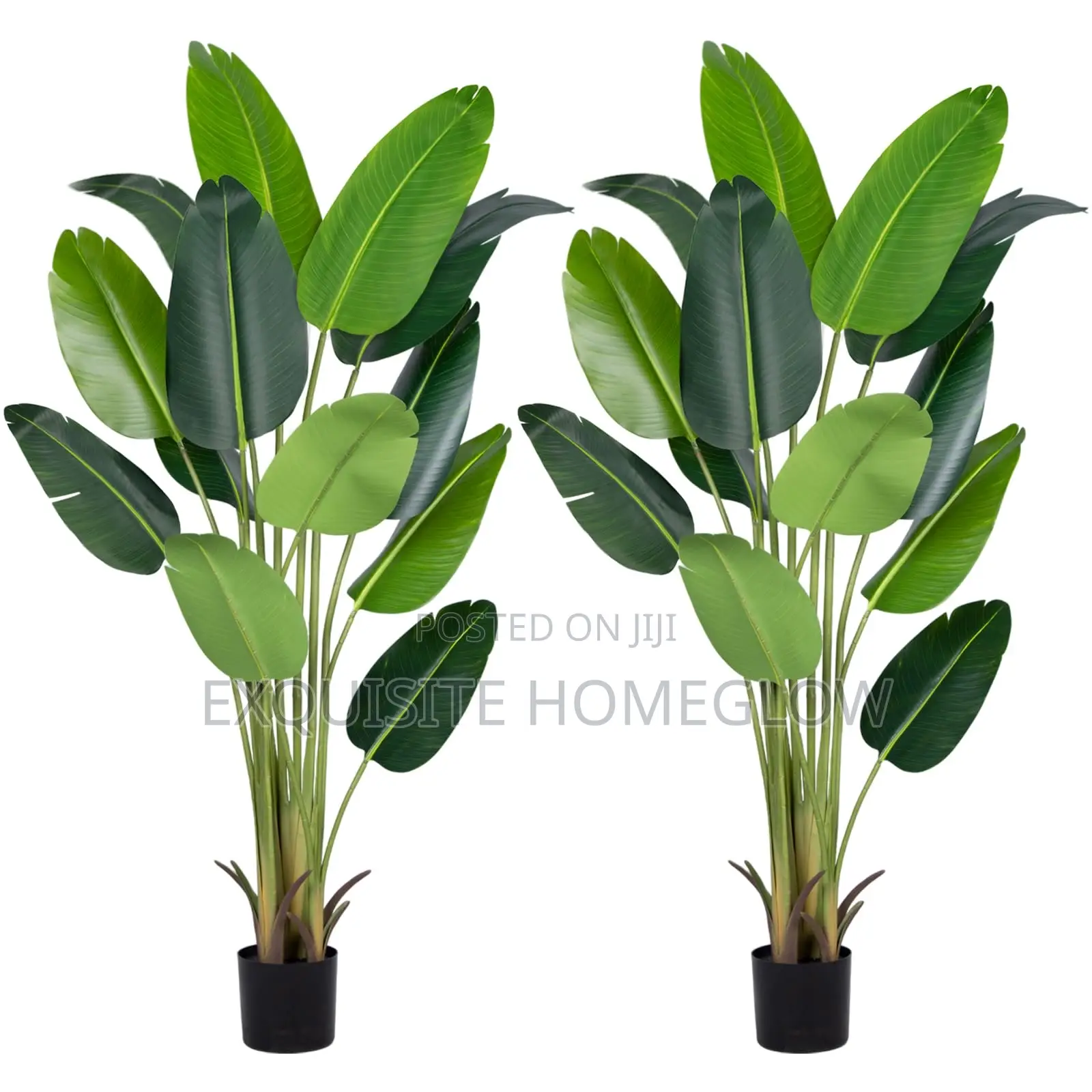 Faux Banana Plant Available in 160cm and 180cm