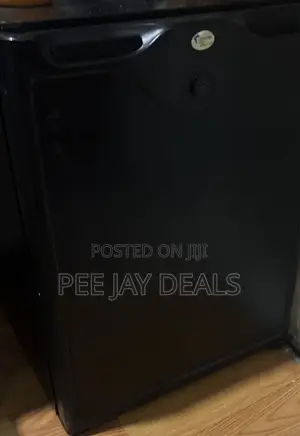 Gasless Mini Fridge
