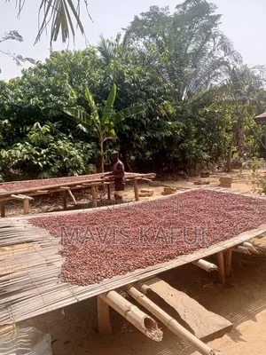 Registered 25 Acre Land for Sale