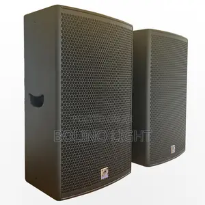 Single 15 Inch Speaker
