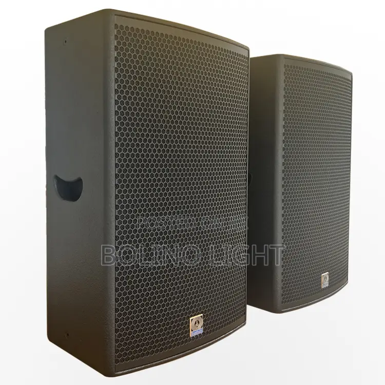 Single 15 Inch Speaker