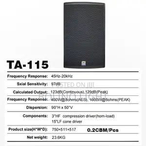 Single 15 Inch Speaker