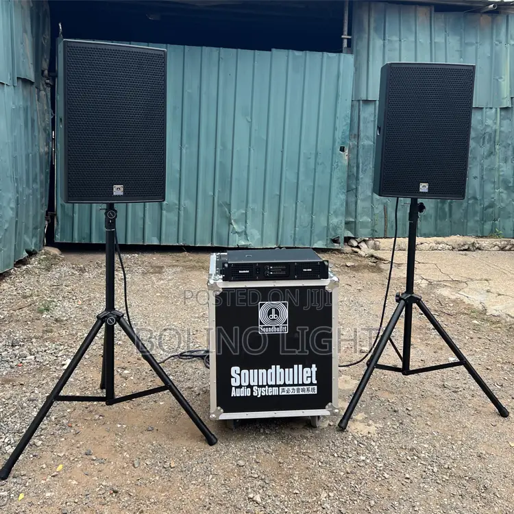 Single 15 Inch Speaker