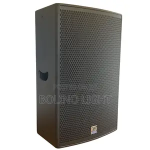Single 15 Inch Speaker