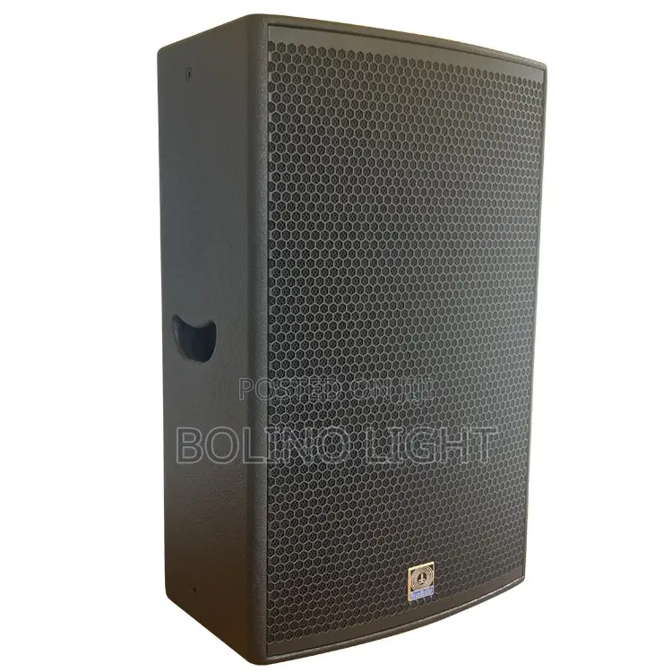 Single 15 Inch Speaker