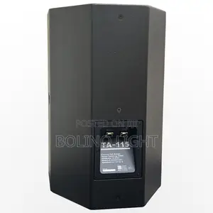 Single 15 Inch Speaker