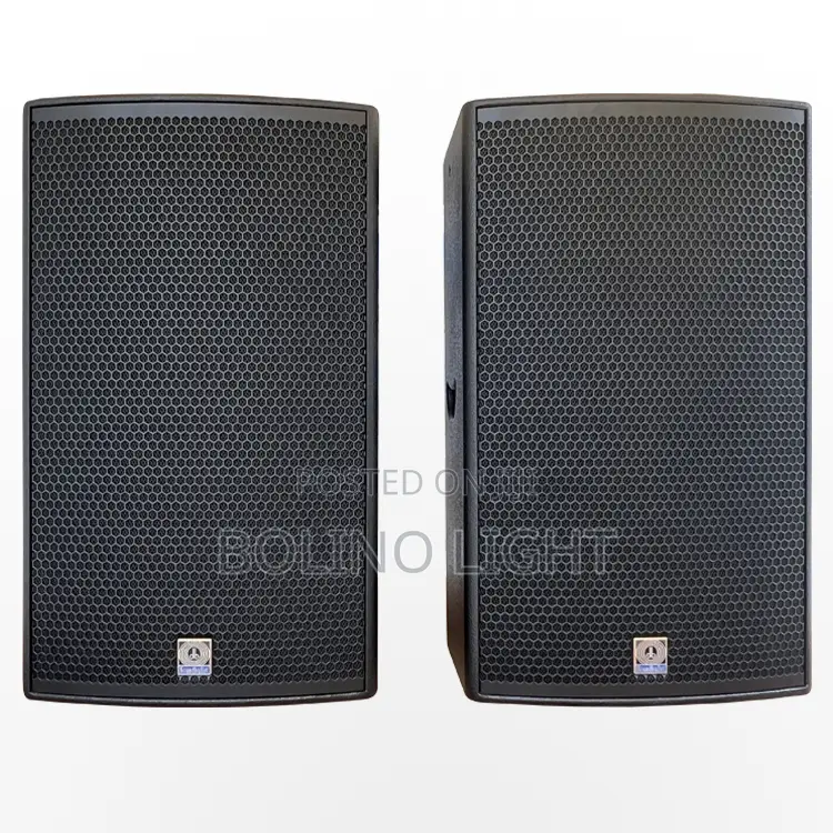 Single 15 Inch Speaker