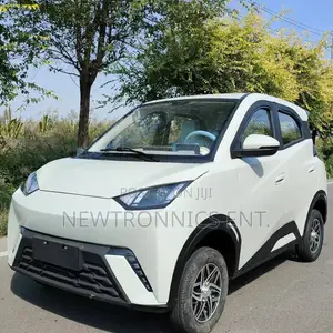 Seagull Electric Car Ch
