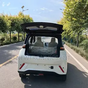 Seagull Electric Car Ch