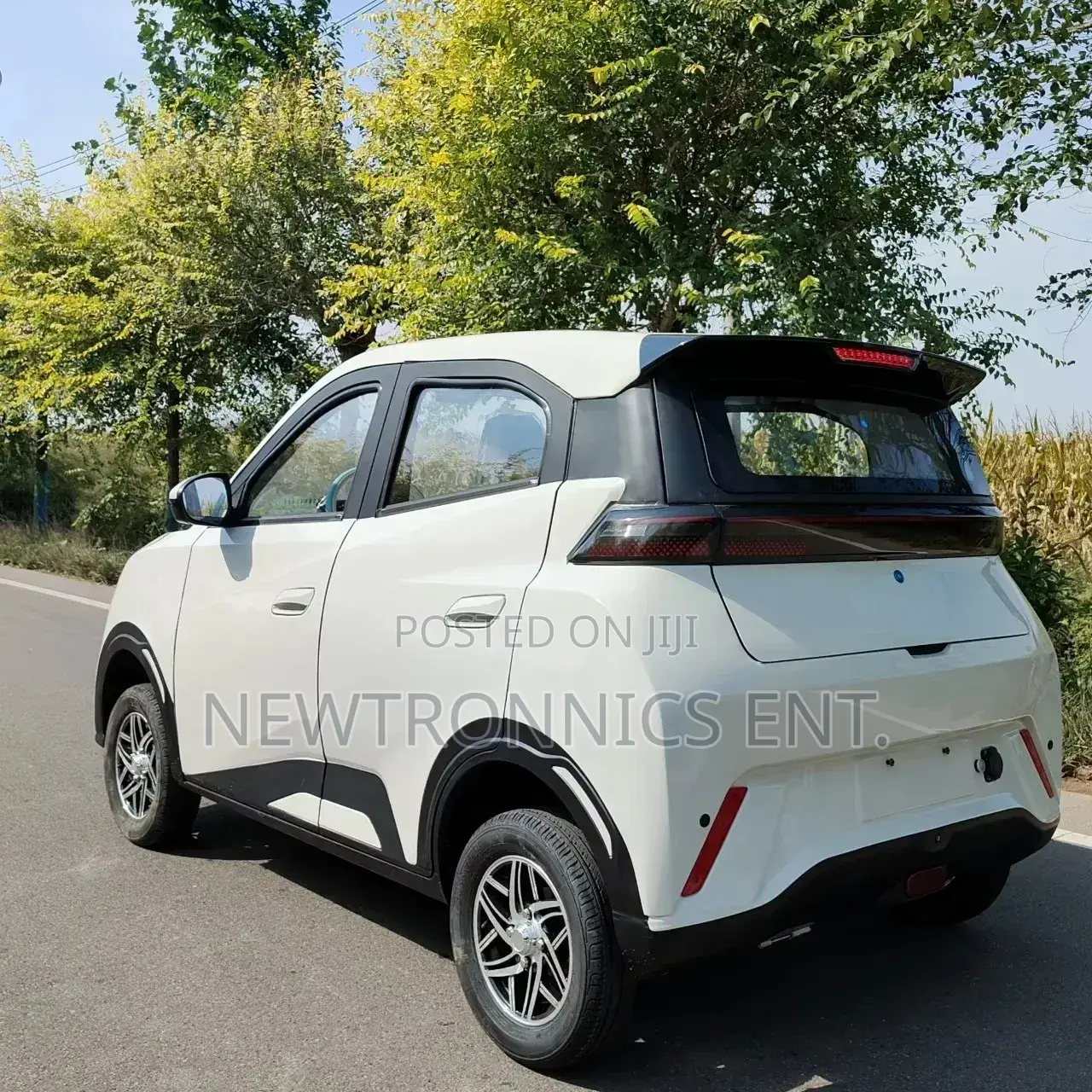 Seagull Electric Car Ch