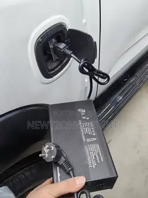Seagull Electric Car Ch