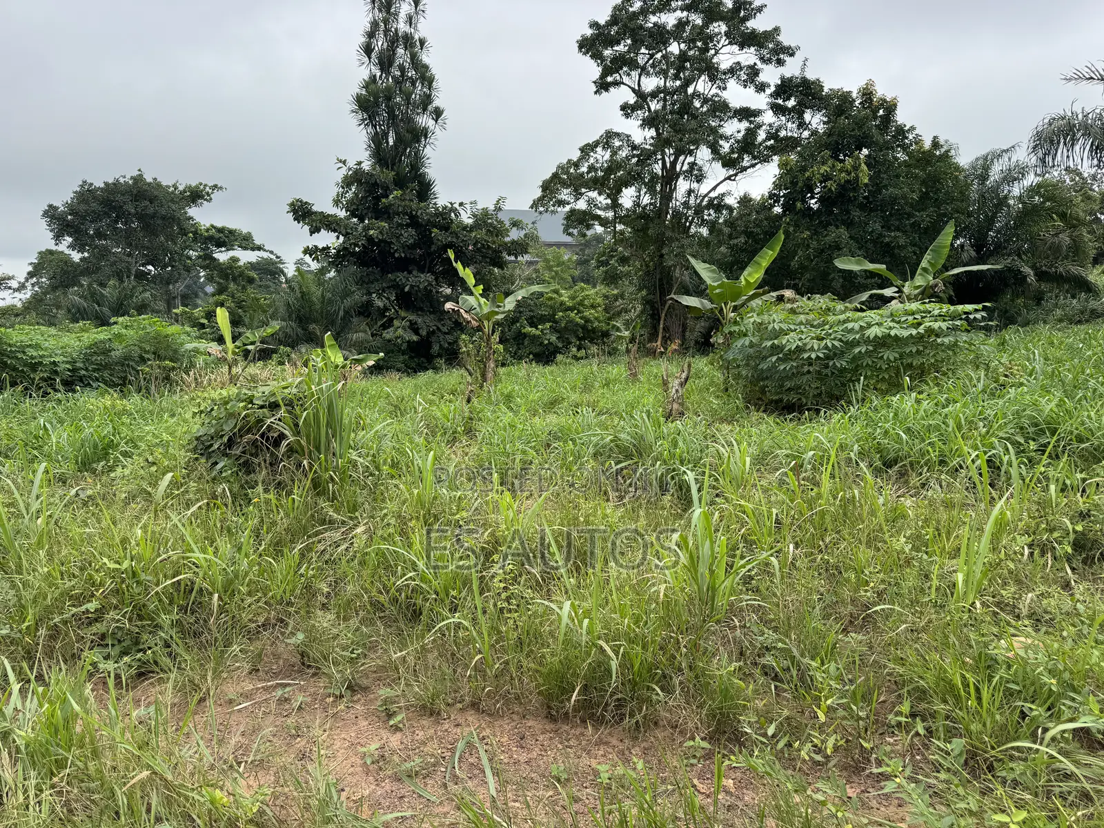 Lands for Sale