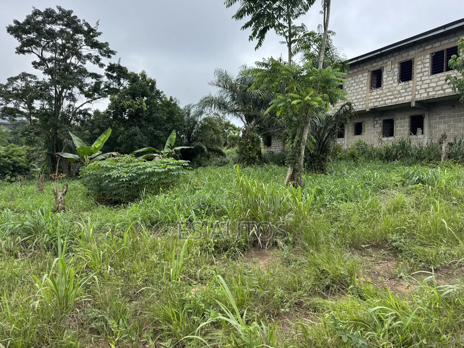 Lands for Sale