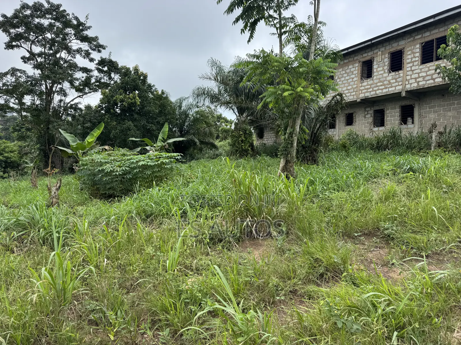 Lands for Sale