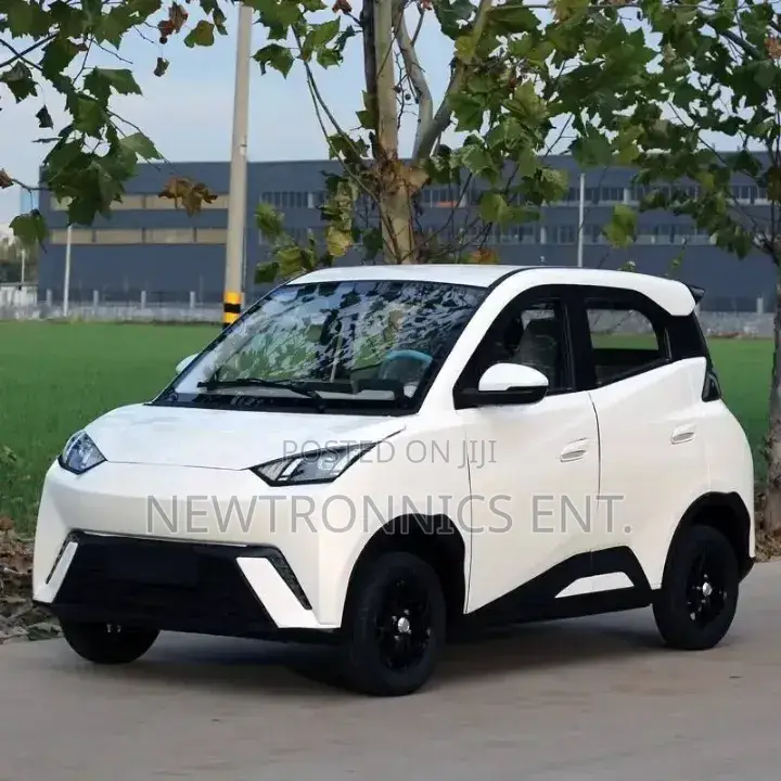 Seagull Electric Car Ch