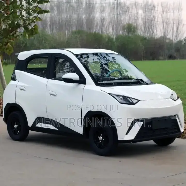 Seagull Electric Car Ch