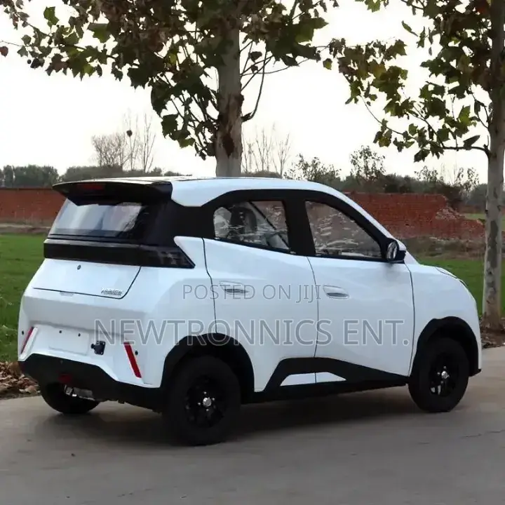 Seagull Electric Car Ch