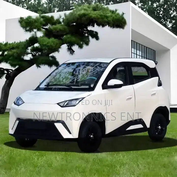 Seagull Electric Car Ch