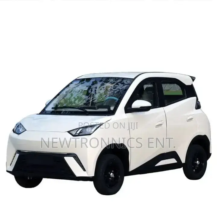 Seagull Electric Car Ch