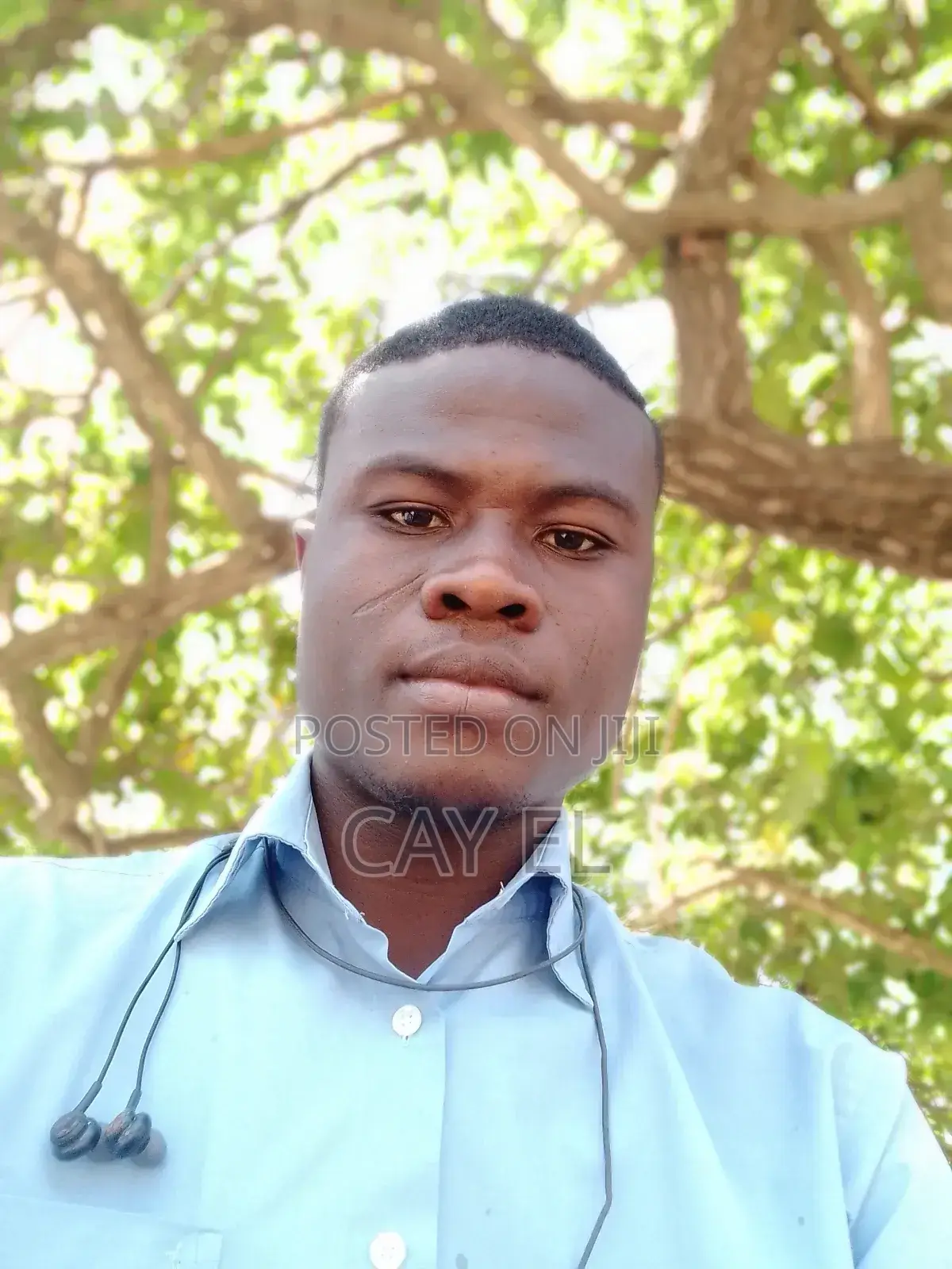 English Language and French Teacher