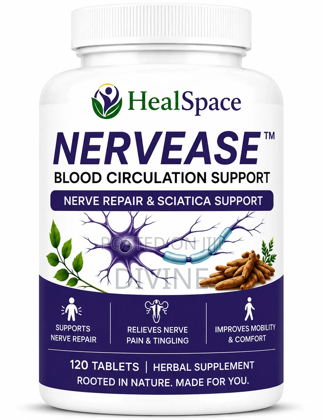 Nerve and Sciatica (HealSpace Nervease)
