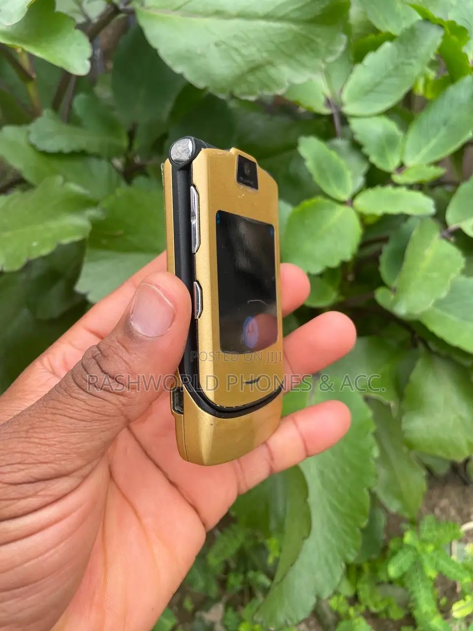 Motorola RAZR V3i Gold