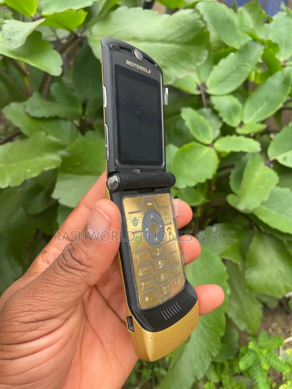 Motorola RAZR V3i Gold
