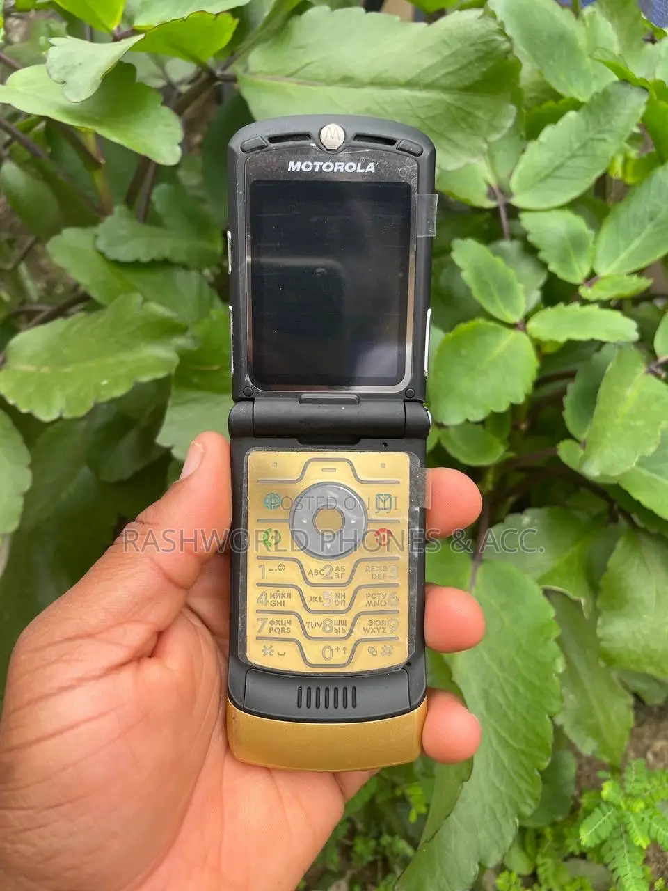 Motorola RAZR V3i Gold