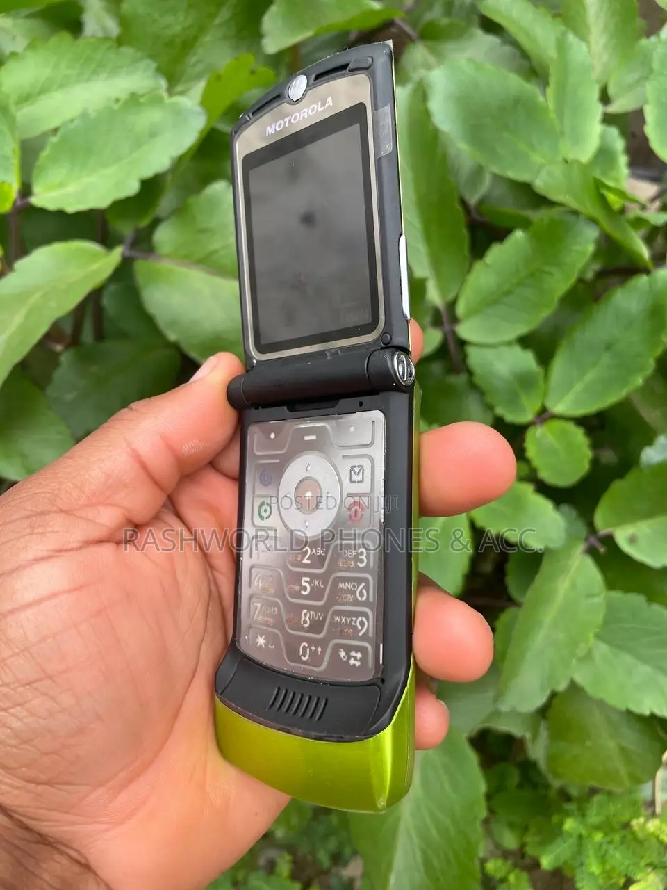 Motorola RAZR V3i Green