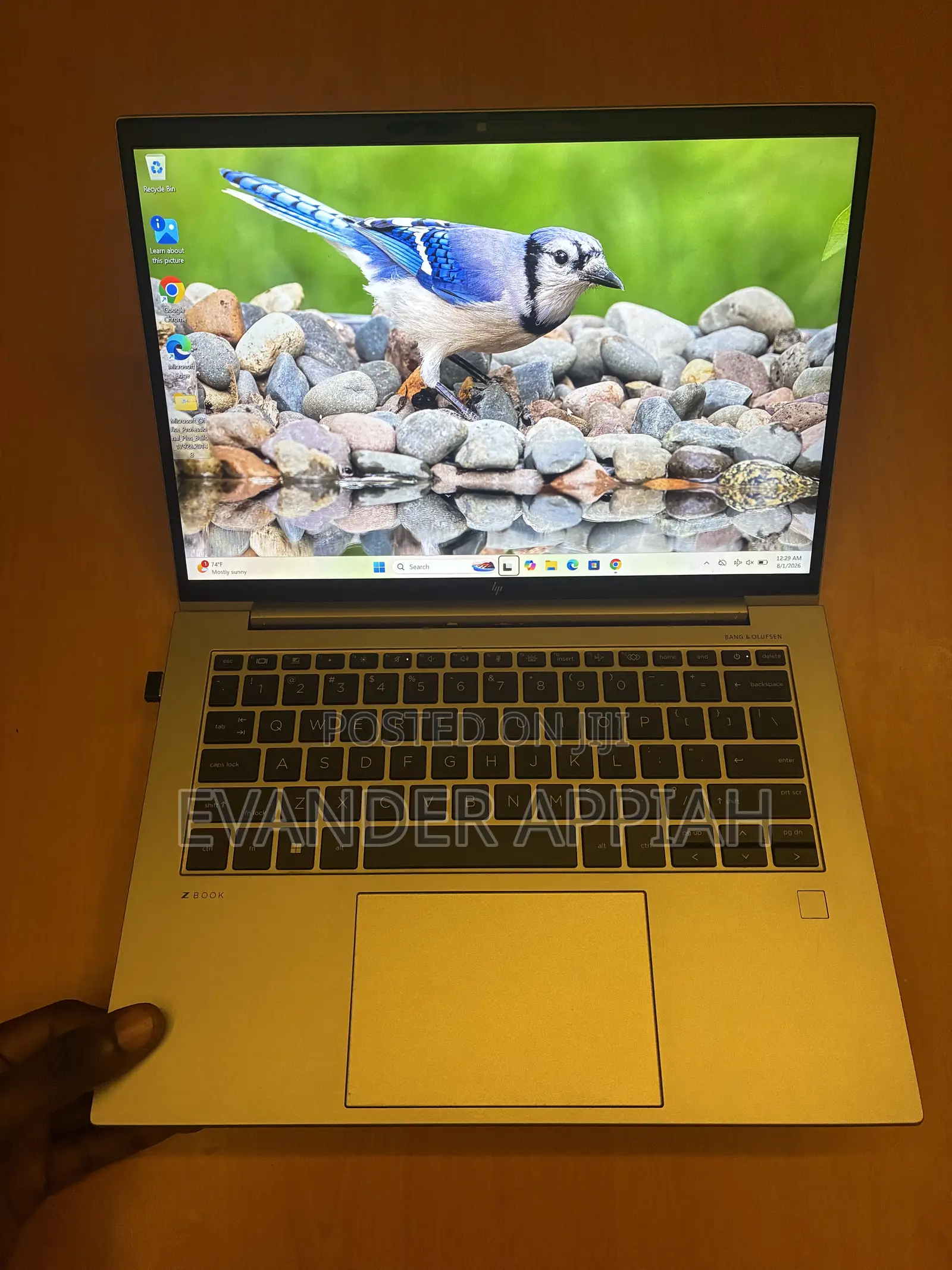 Laptop HP ZBook Firefly G9 16GB Intel Core i5 SSD 256GB