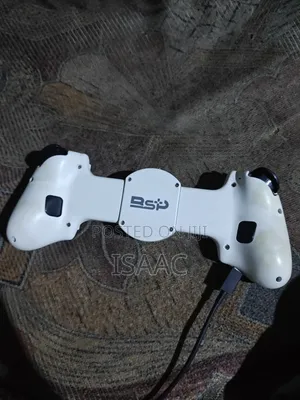 BSP D11 Telescopic Controller
