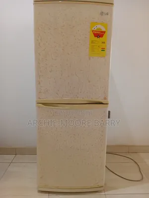 Double Door Fridge