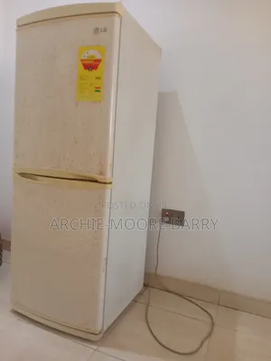 Double Door Fridge