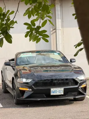 Ford Mustang EcoBoost Convertible 2019 Black