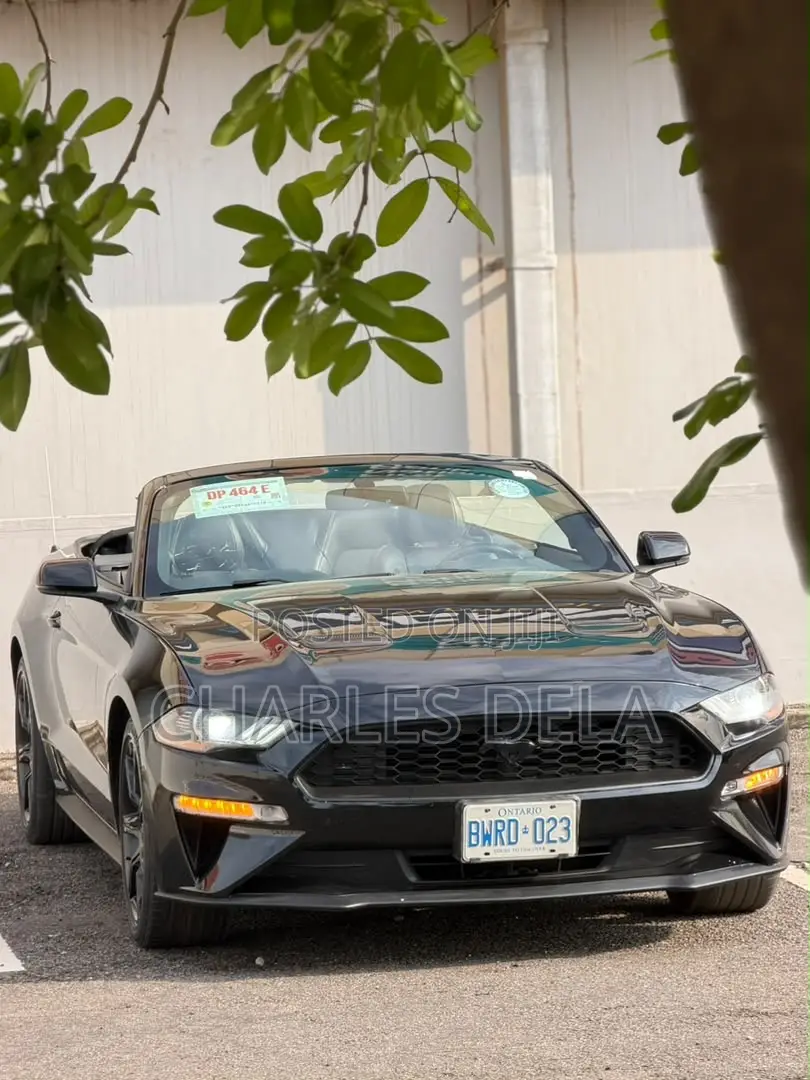 Ford Mustang EcoBoost Convertible 2019 Black
