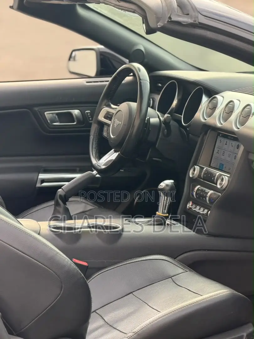 Ford Mustang EcoBoost Convertible 2019 Black