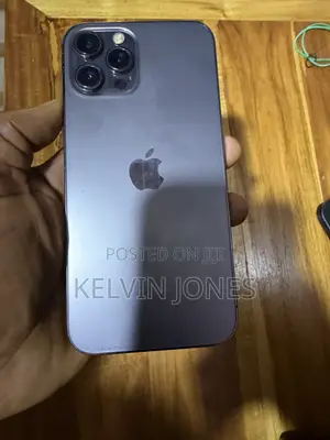 Apple iPhone 12 Pro Max 256 GB Gray