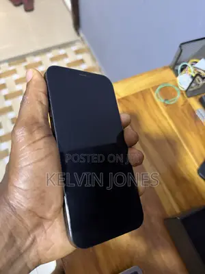 Apple iPhone 12 Pro Max 256 GB Gray