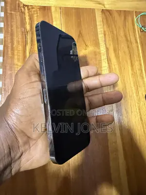 Apple iPhone 12 Pro Max 256 GB Gray