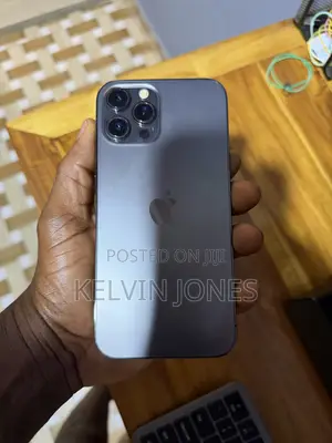 Apple iPhone 12 Pro Max 256 GB Gray