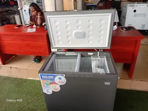 Nasco Deep Freezer 195L – Premium Freezing Performance195L