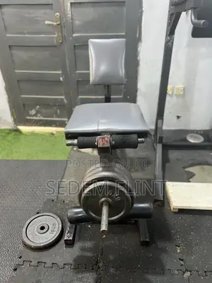 Leg Extension