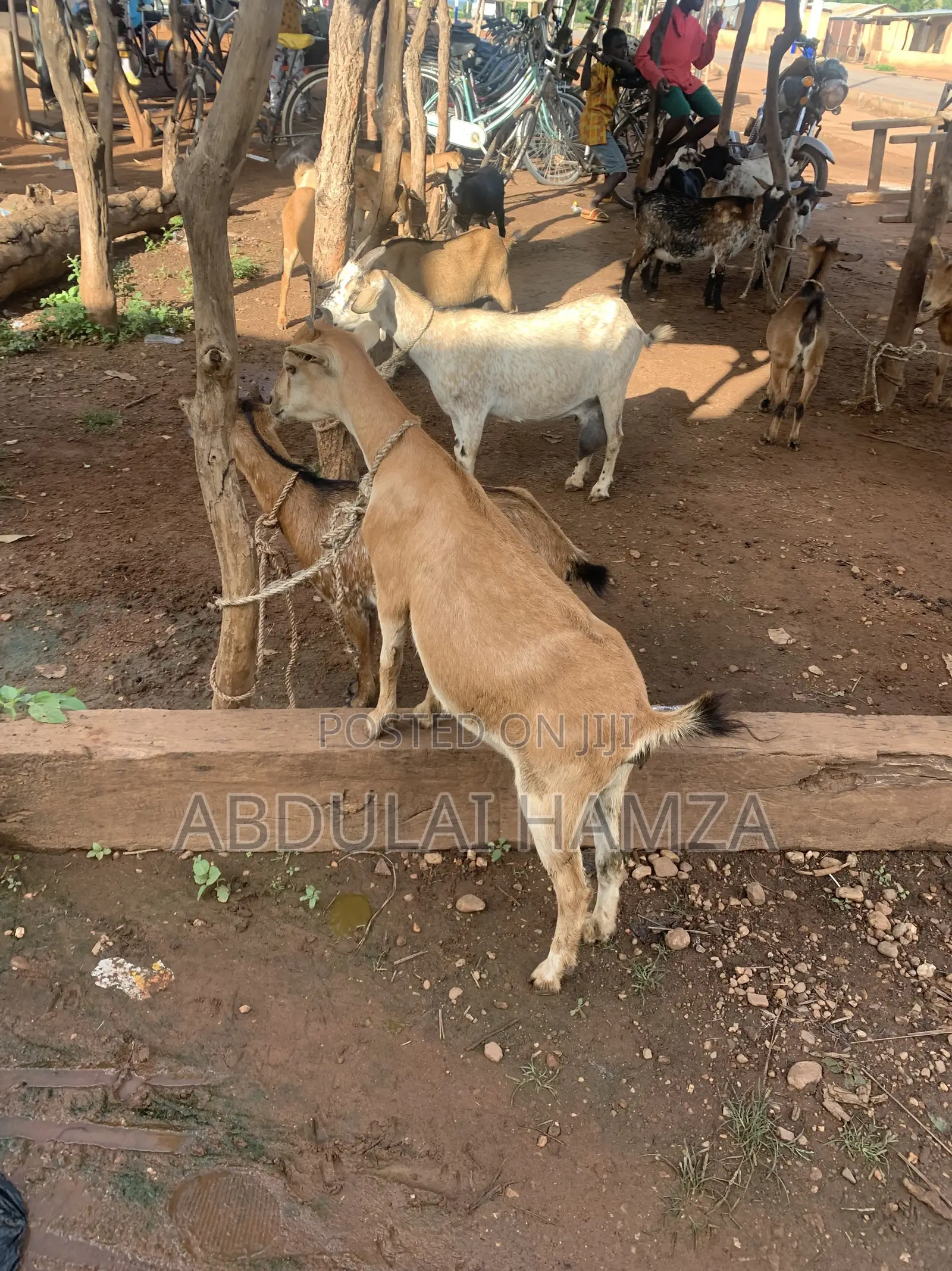 Abdulai Hamza