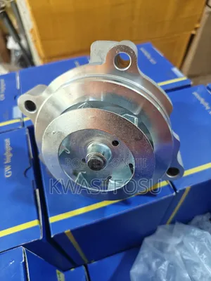 Ford F150 5.4L,4.6L Water Pulp